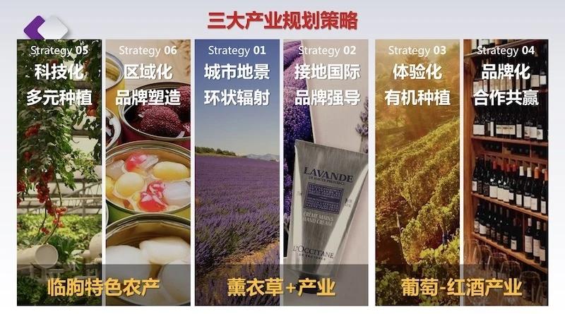 恒信集体薰衣草特色小镇新闻公布会成功举办