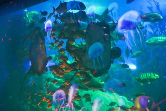 时尚市南 璀璨湾城 | 最IN时尚潮流体验 畅享夏日激情欢跃