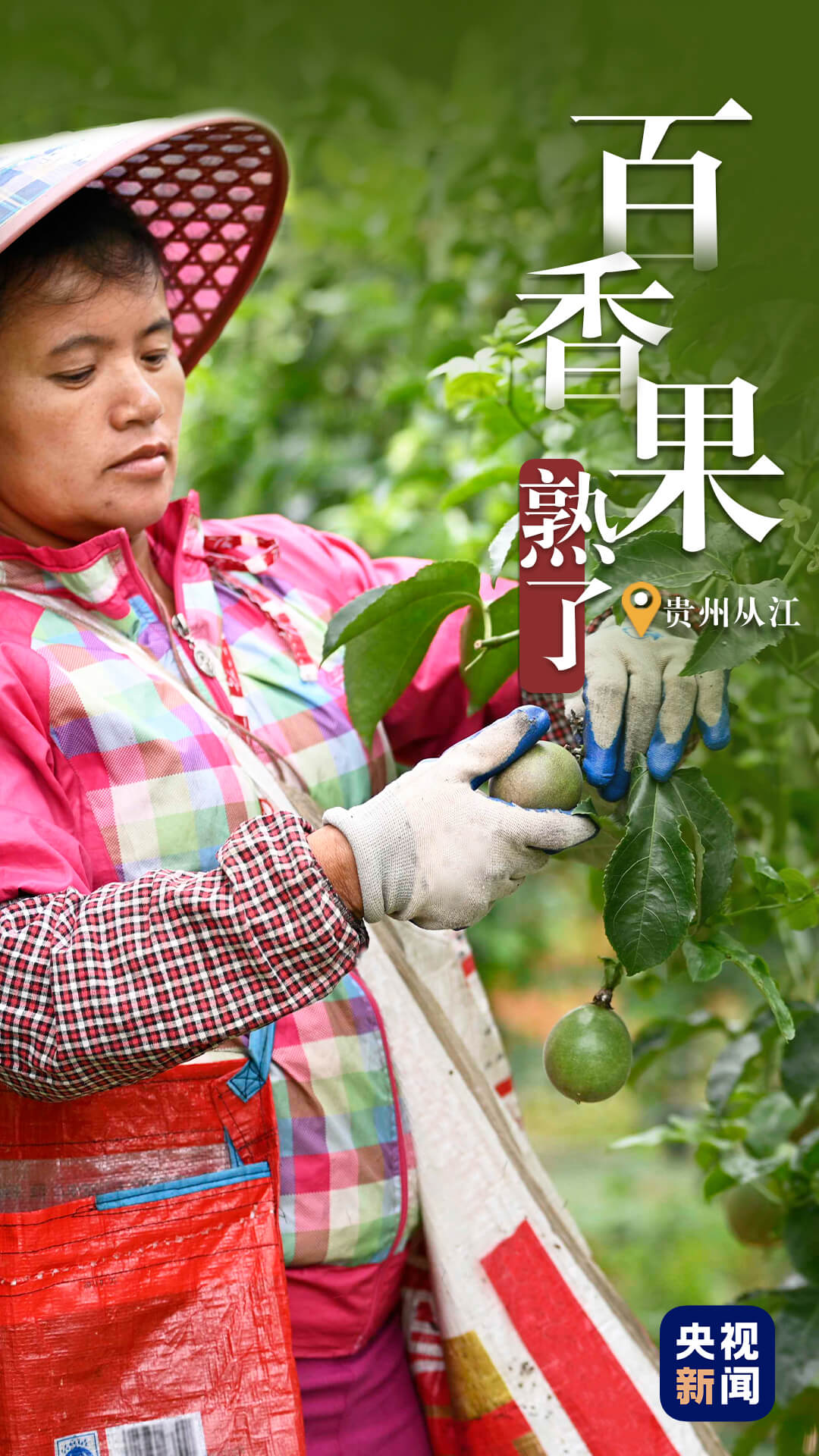 比过山车还刺激！“超级铁路”带你穿越隧道 看山川“险”景